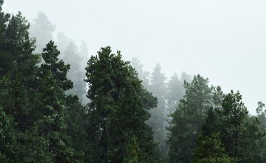 2026年考研物理化学高端班