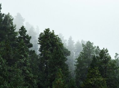 2024年一级造价工程师【计价】【VIP基础同步班】