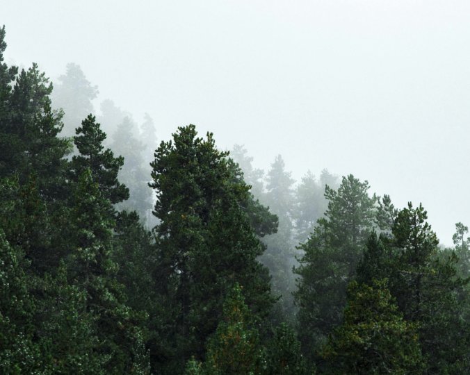 高考政治复习建议整理