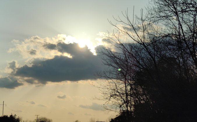 卢菲菲【菲常记忆】小合集(记忆力提升)