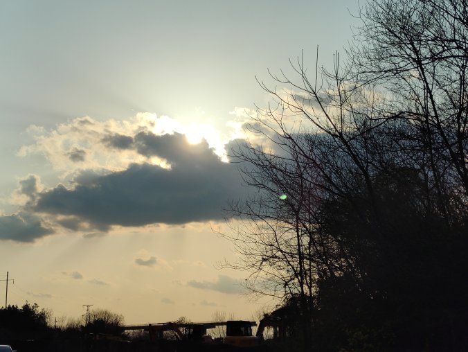 卢菲菲【菲常记忆】小合集（记忆力提升）