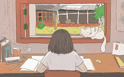 2024小学教辅汇总