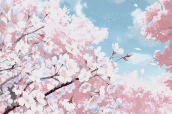 2025考研数学课程合集