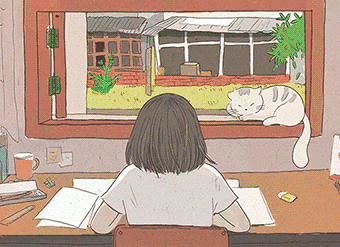 2024小学教辅汇总