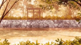 【2024】税务师VIP全程班合集（网课及资料）