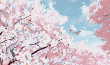 2026考研资料包分享(百度网盘版本)